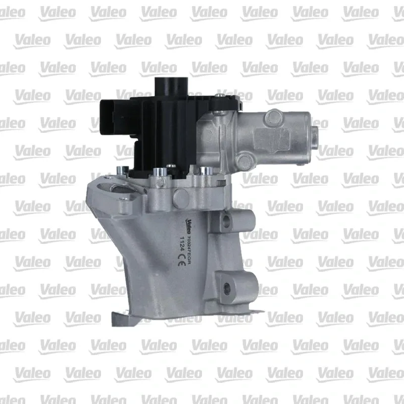 Egr Valfi VALEO 703247