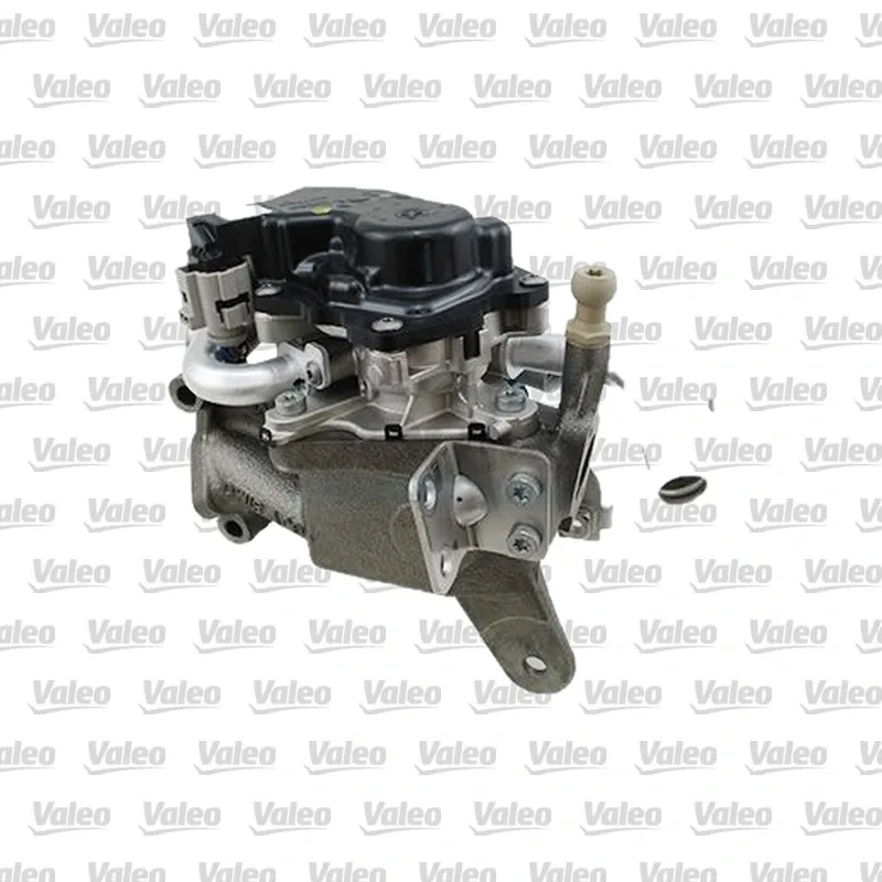 Egr Valfi VALEO 700456