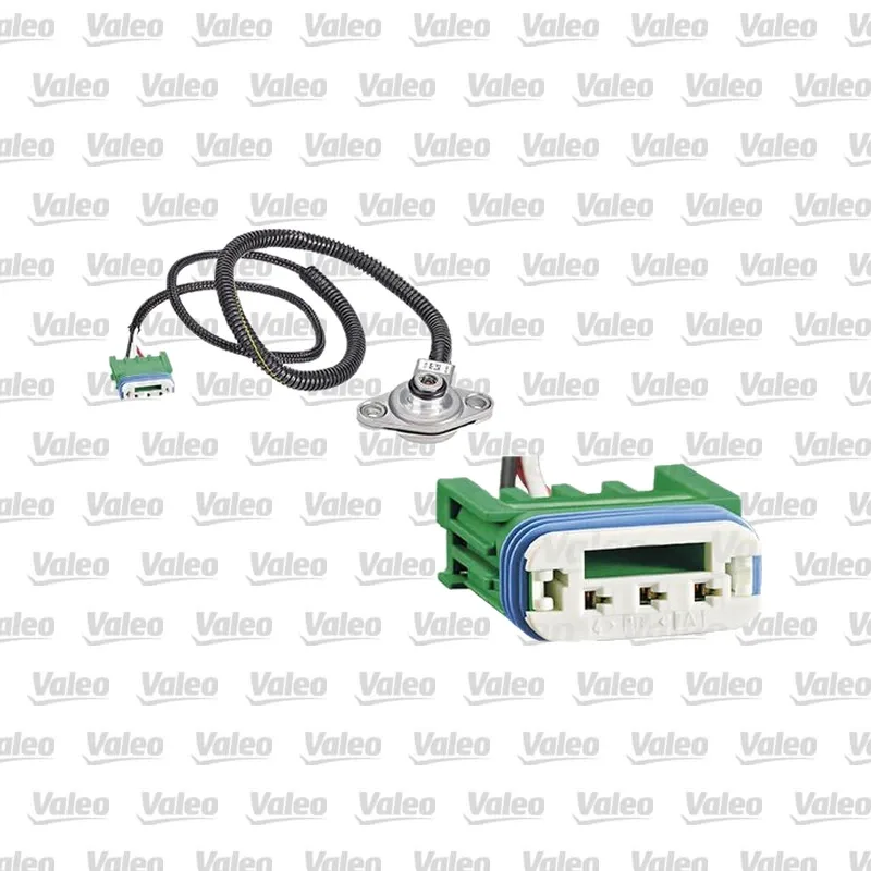 Yağ Müşürü VALEO 255500