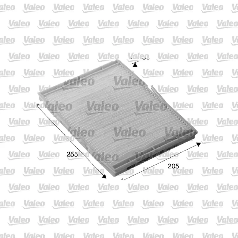Polen Filtresi VALEO 698276 – Renault Megane