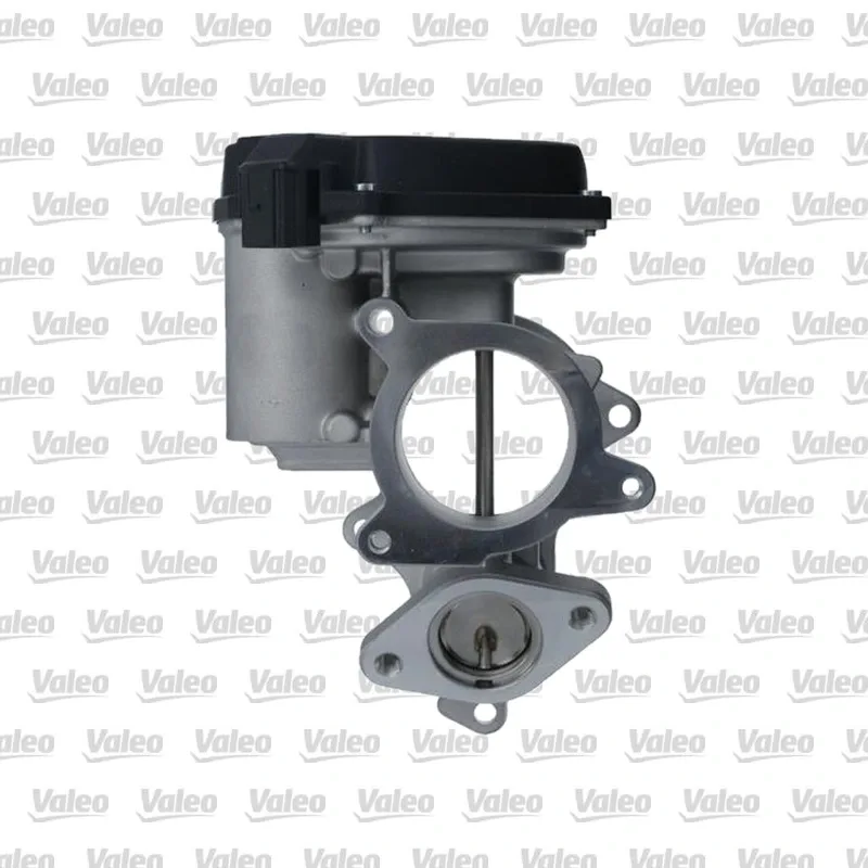 Egr Valfi VALEO 703264 – Audi A4 / A6