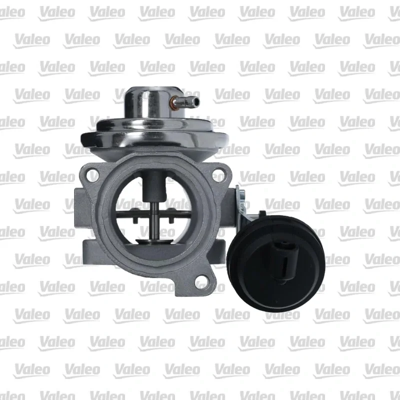 Egr Valfi VALEO 703220