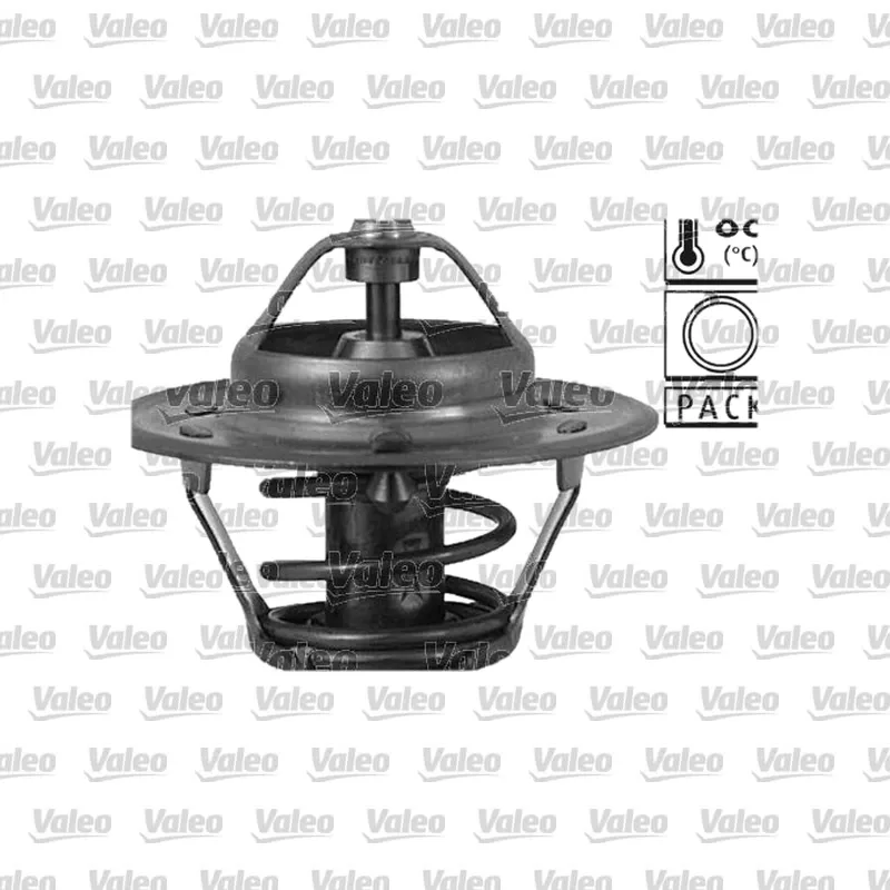 Termostat VALEO 819846 – Hyundai / Nissan