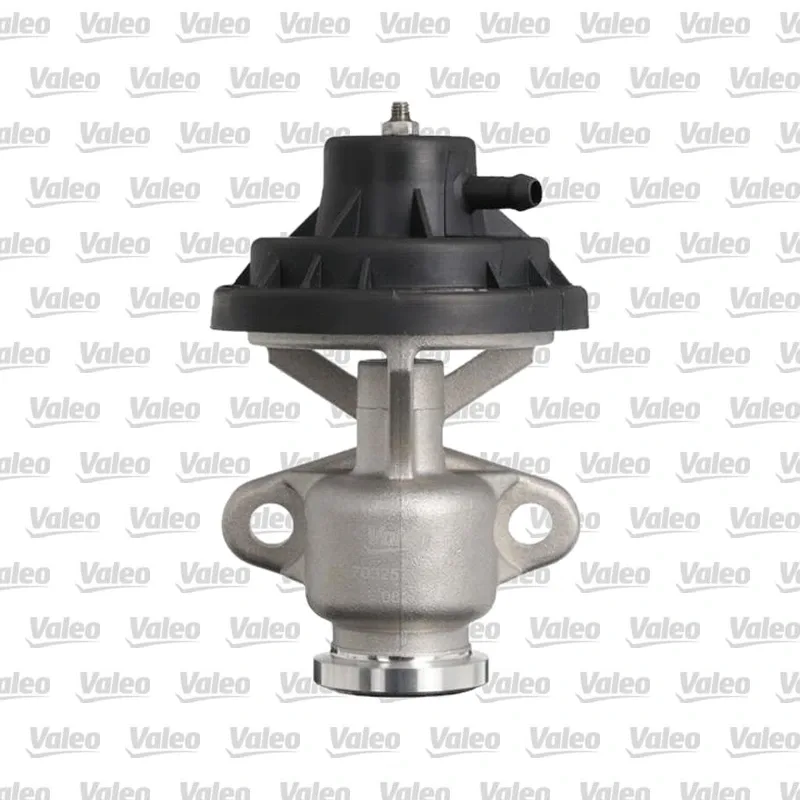 Egr Valfi VALEO 703257