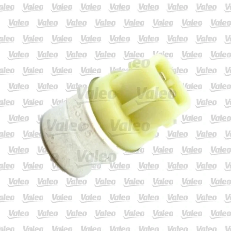 Fan Müşürü VALEO 820833