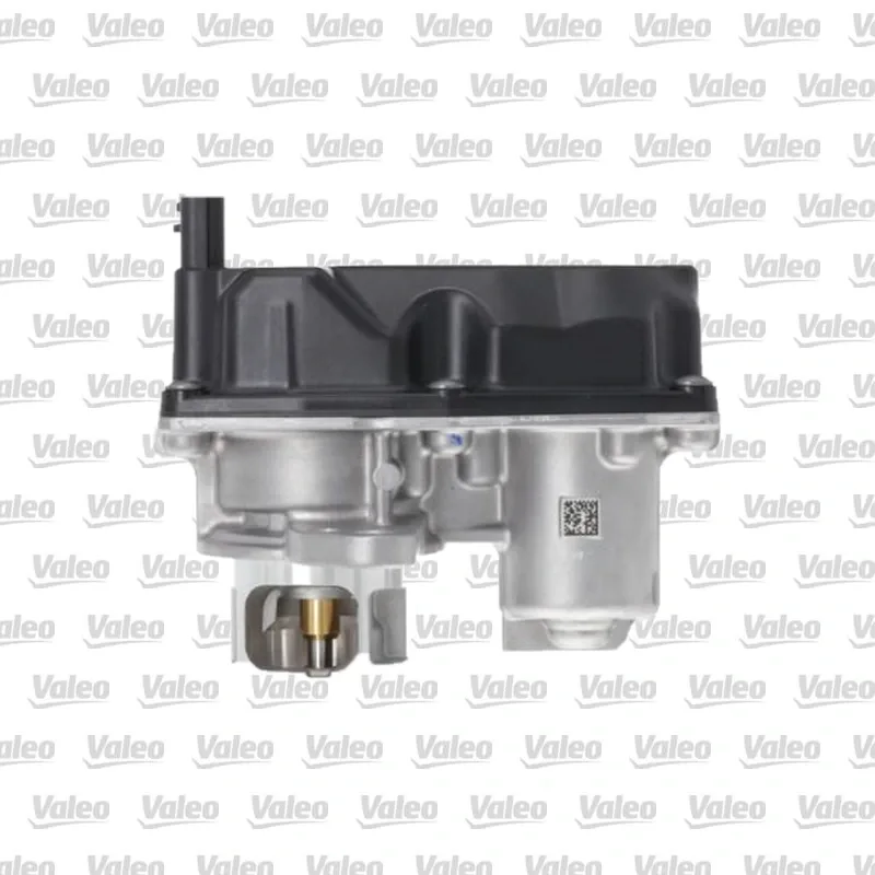 Egr Valfi VALEO 700477
