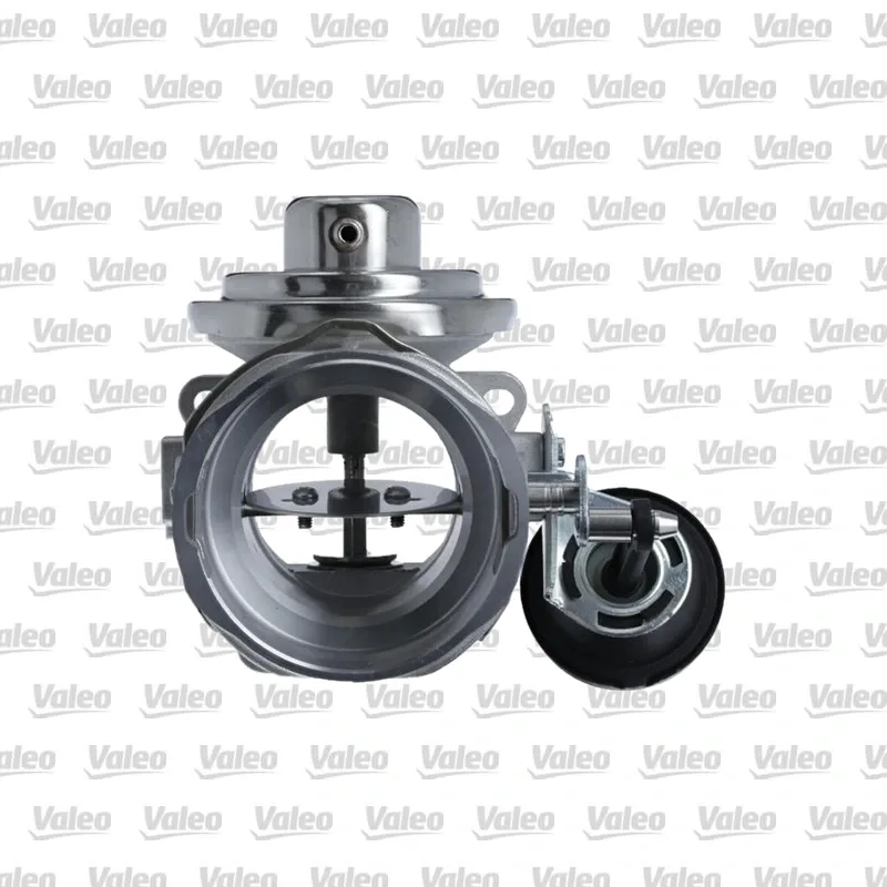 Egr Valfi VALEO 703225