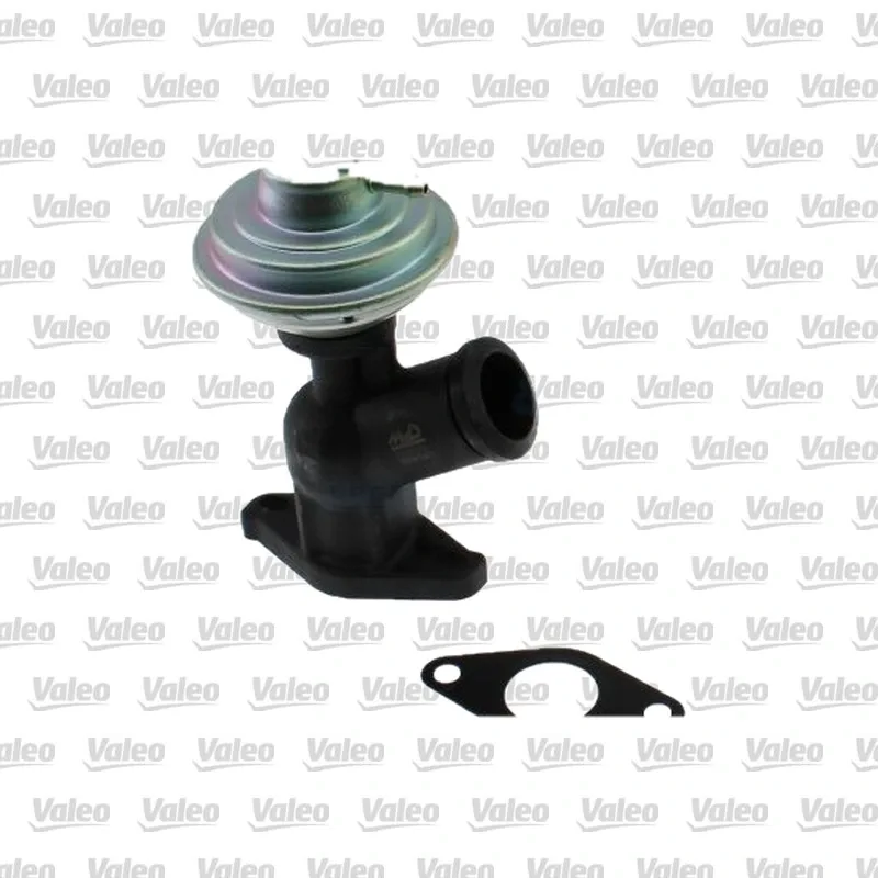 Egr Valfi VALEO 700405