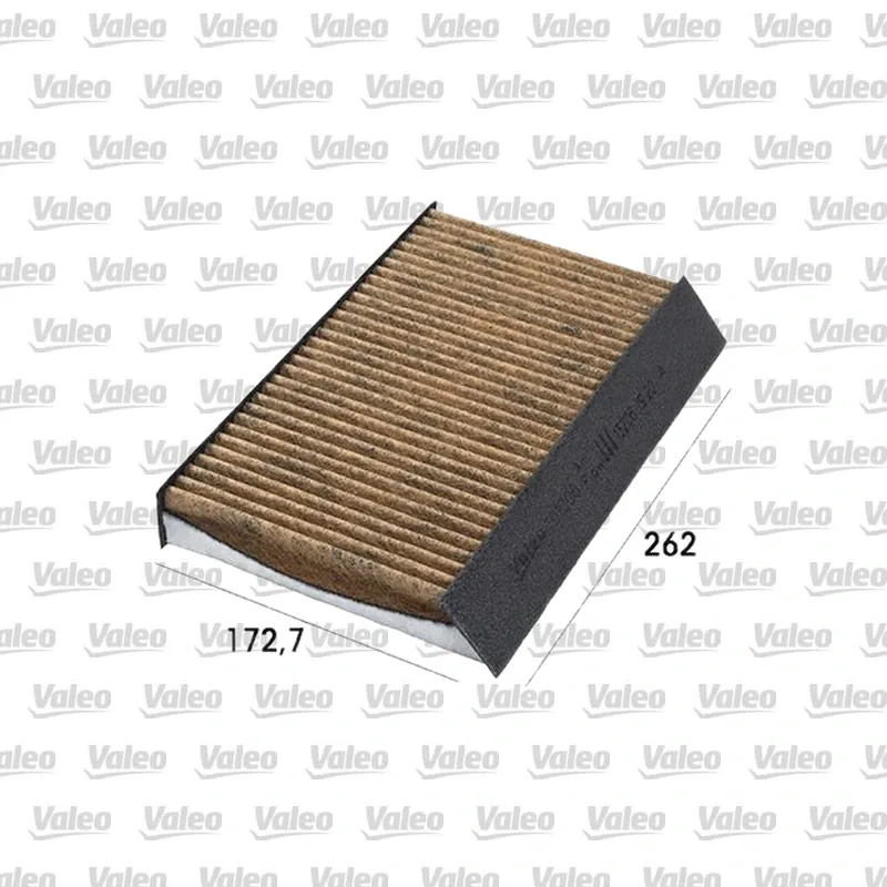 Polen Filtresi VALEO 701006 – Renault Megane
