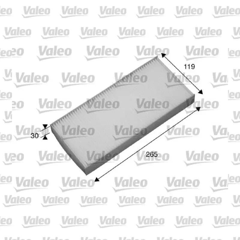 Polen Filtresi VALEO 698878 – Renault Twingo