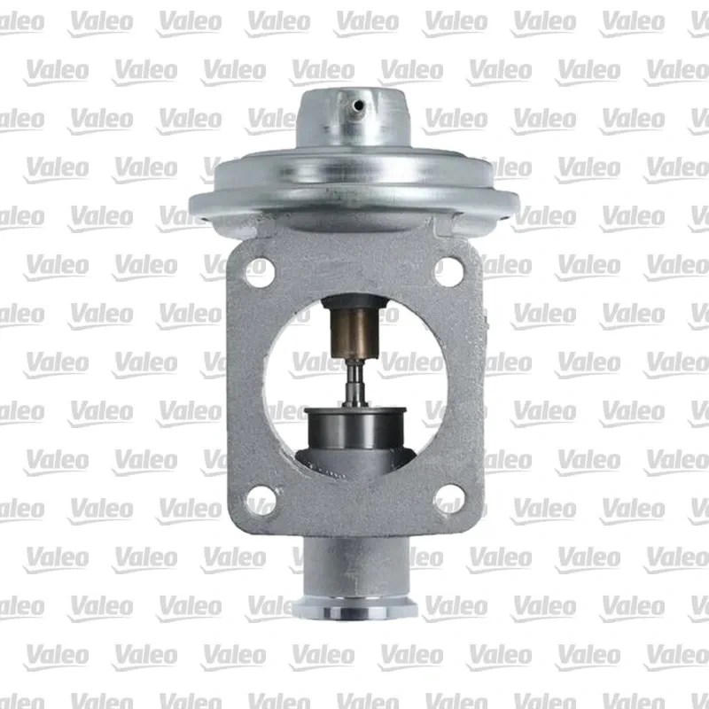 Egr Valfi VALEO 703239 – BMW X5
