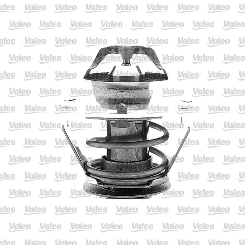 Termostat 79 °C VALEO 819903 – Renault Master