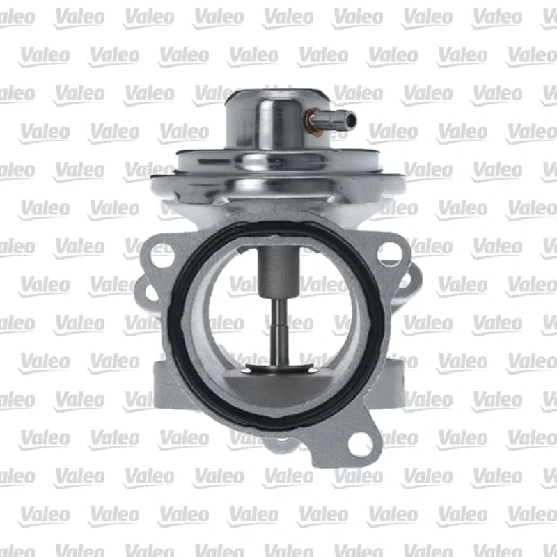 Egr Valfi VALEO 703260