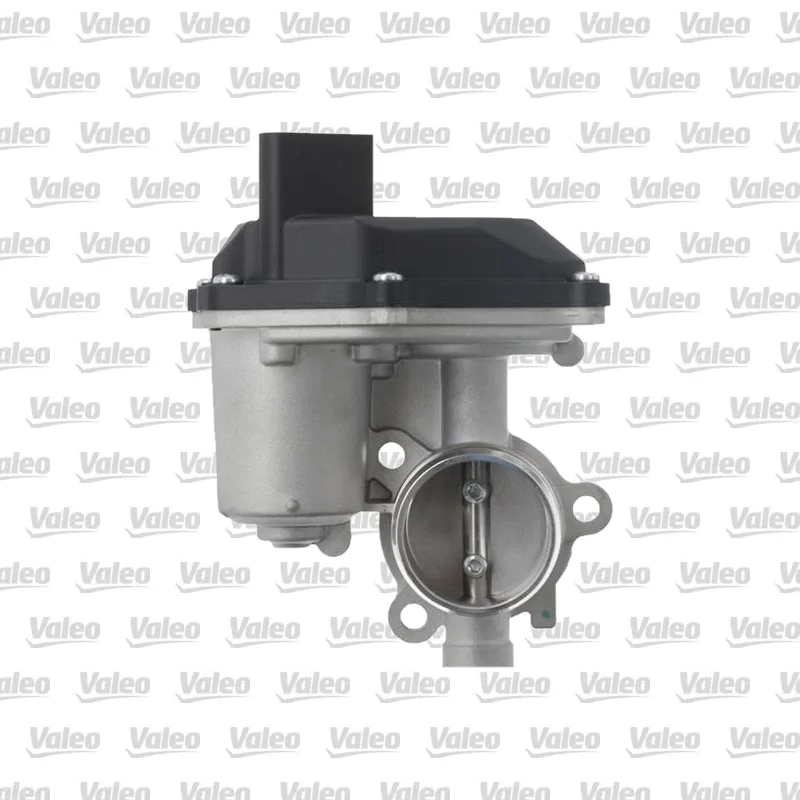 Egr Valfi VALEO 703202