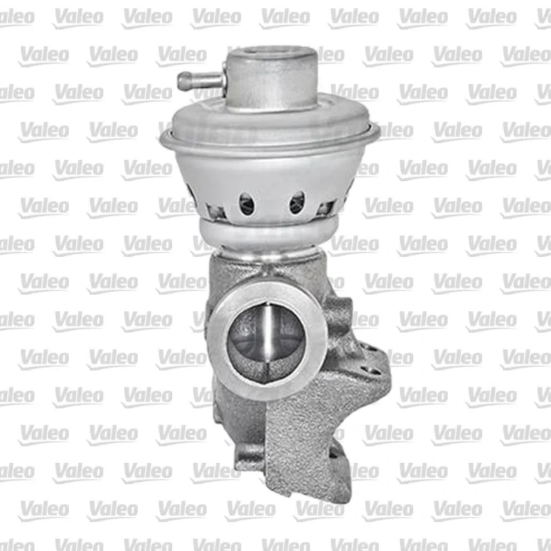 Egr Valfi VALEO 700406