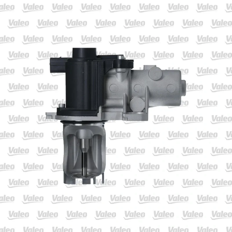 Egr Valfi VALEO 703277