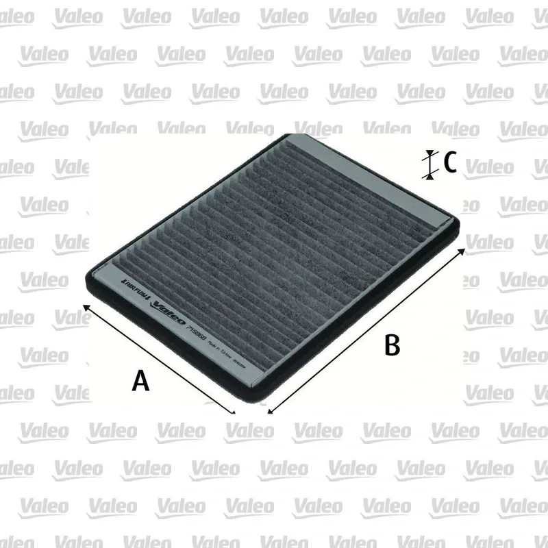 Polen Filtresi VALEO 715868 – Renault Megane