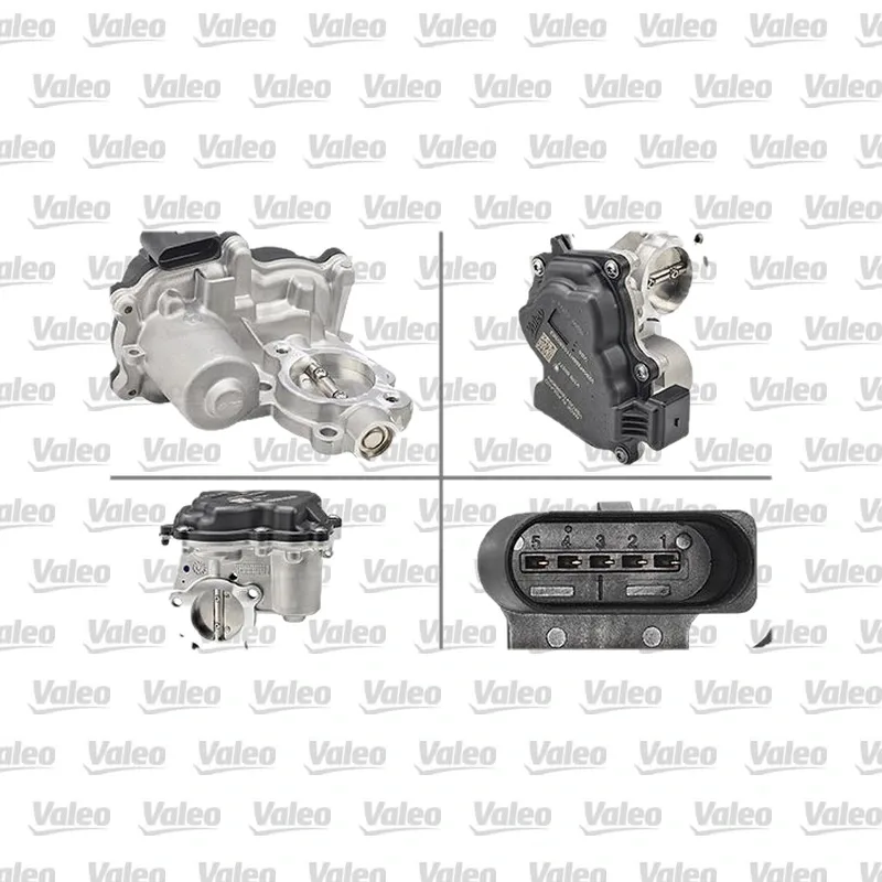 Egr Valfi VALEO 700458