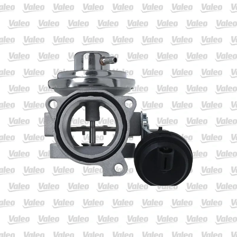 Egr Valfi VALEO 703268