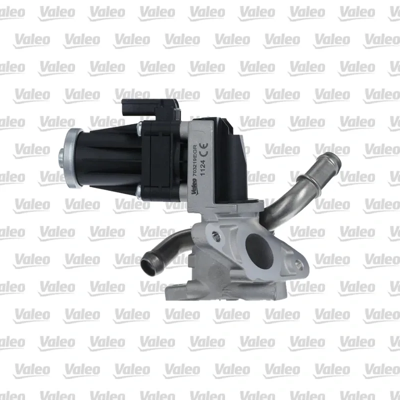 Egr Valfi VALEO 703219