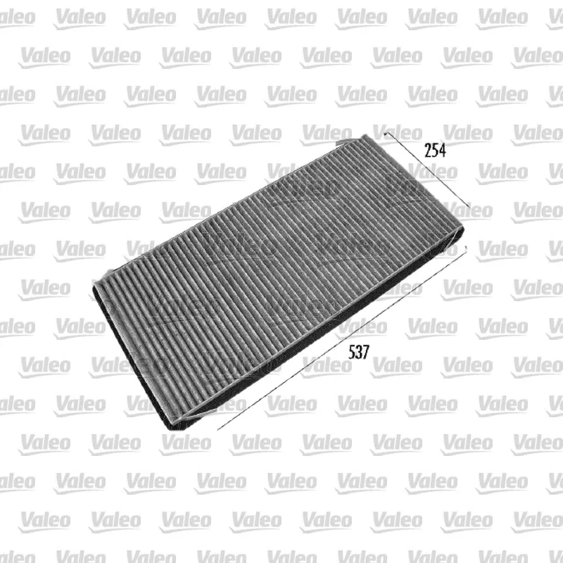 Polen Filtresi VALEO 698776 – BMW / Land Rover