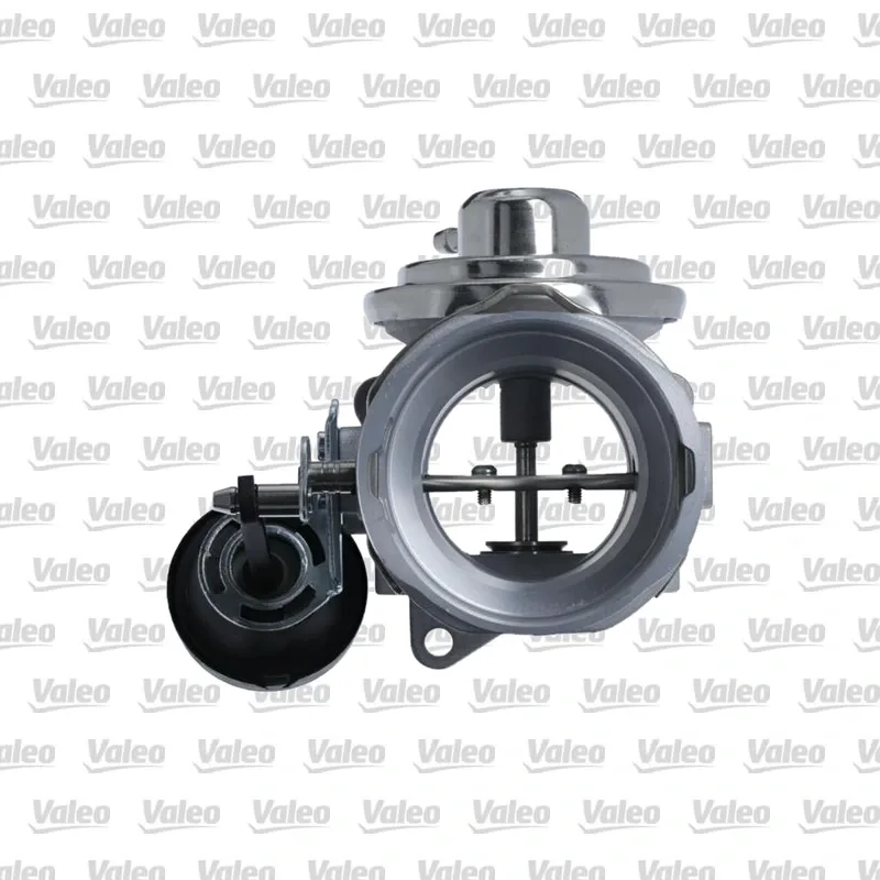 Egr Valfi VALEO 703263