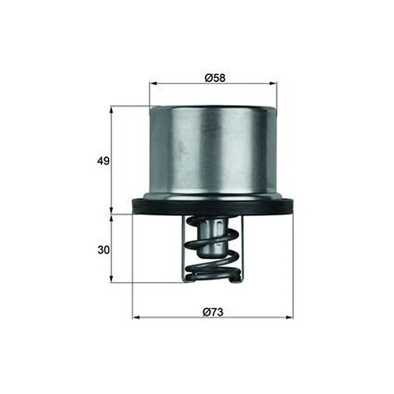 Su Termostatı MAHLE THD 1 79 – MAN TGA / TGS / TGX