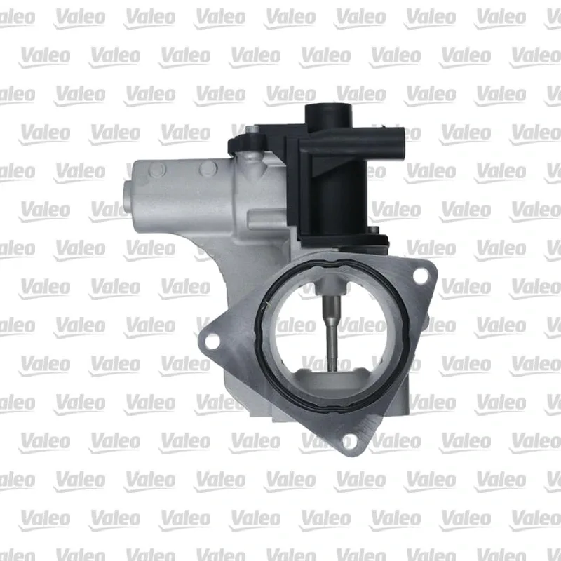 Egr Valfi VALEO 703272 – Volkswagen Transporter / Crafter