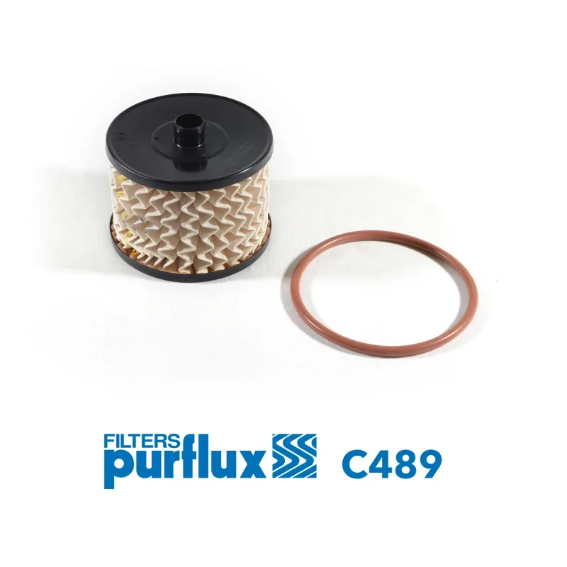 Yakıt Filtresi PURFLUX C489 – PEUGEOT 307 / 308 / 407