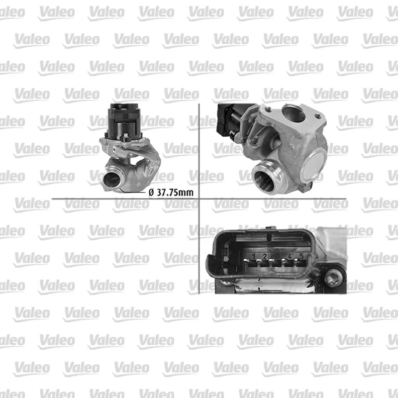 Egr Valfi VALEO 700414