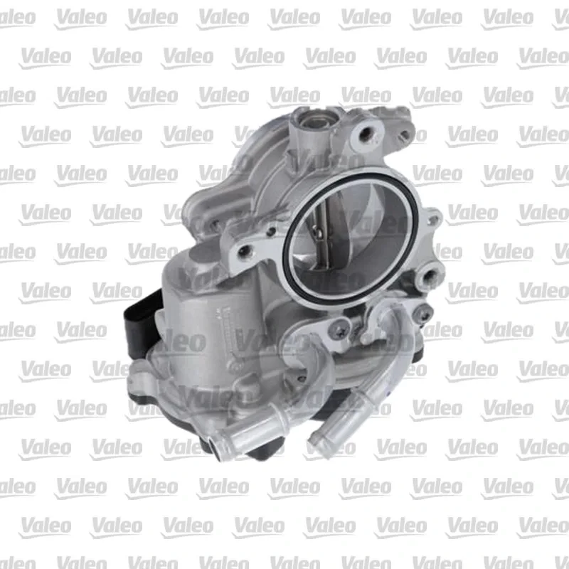 Gaz Kelebeği VALEO 700468