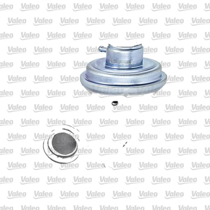 Egr Valfi VALEO 700407