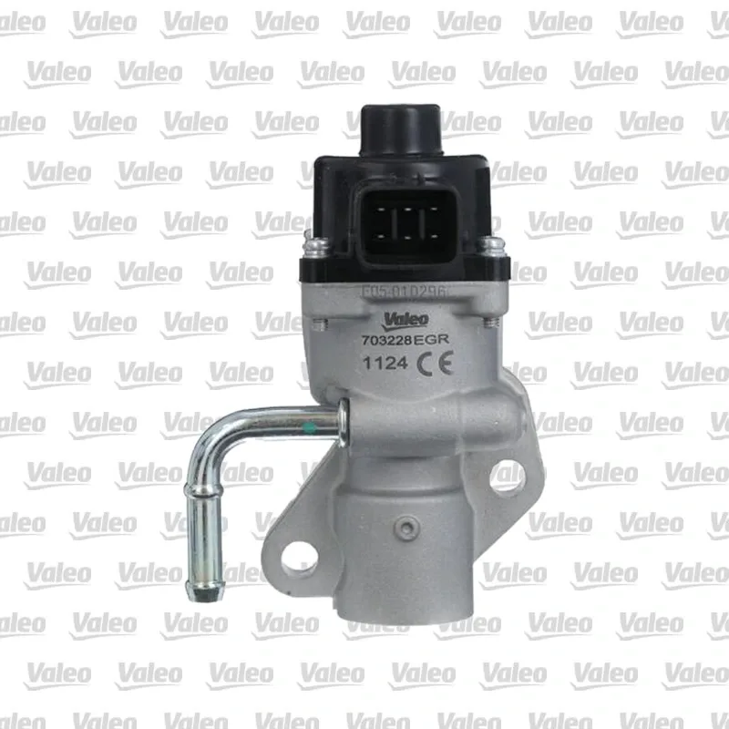 Egr Valfi VALEO 703228