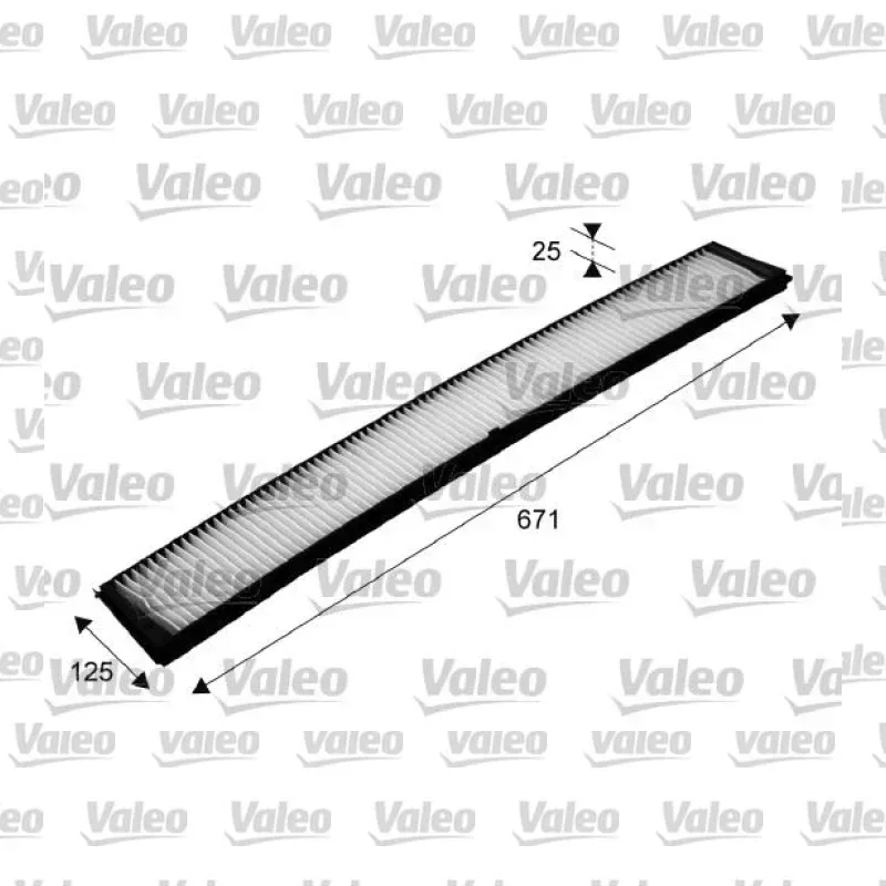 Polen Filtresi VALEO 698489 – BMW 320i