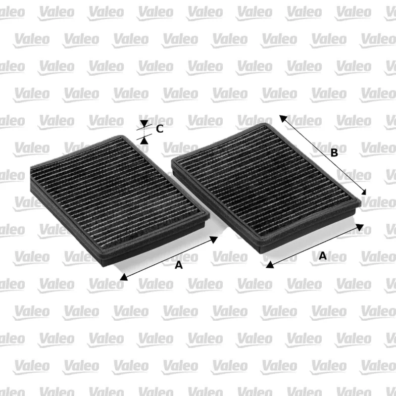Polen Filtresi VALEO 698246 – BMW 520i
