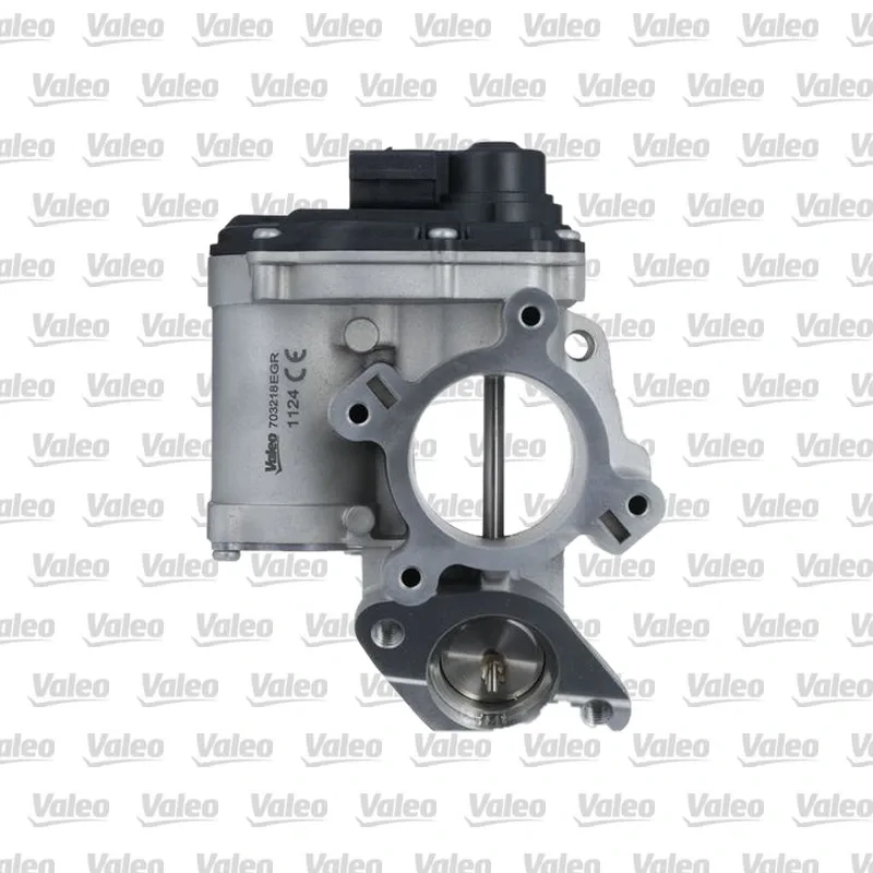 Egr Valfi VALEO 703218