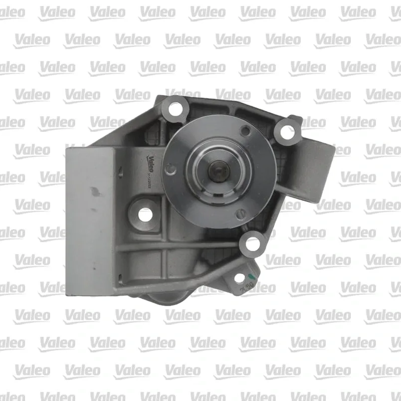Devirdaim Su Pompası VALEO 539012