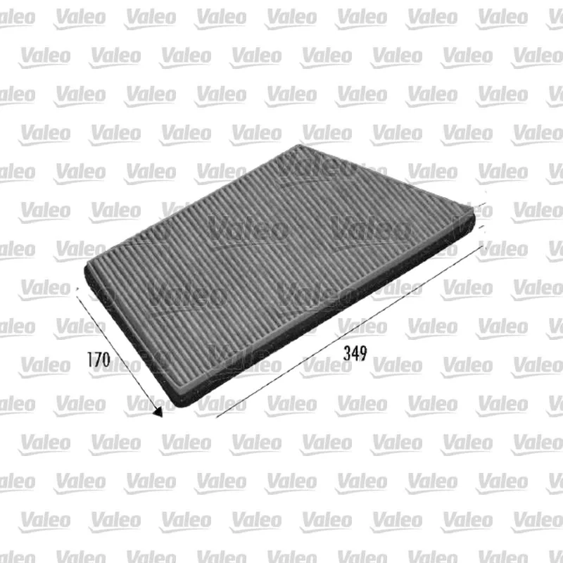 Polen Filtresi VALEO 698749 – Peugeot 206 / 206+