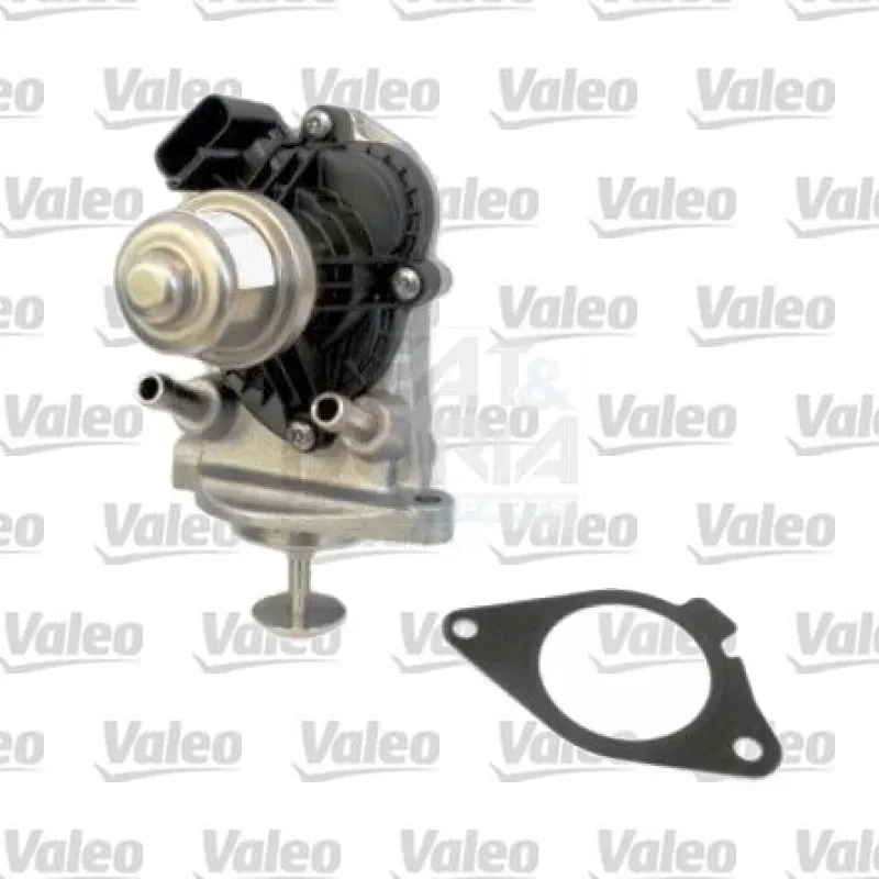 Egr Valfi VALEO 703207