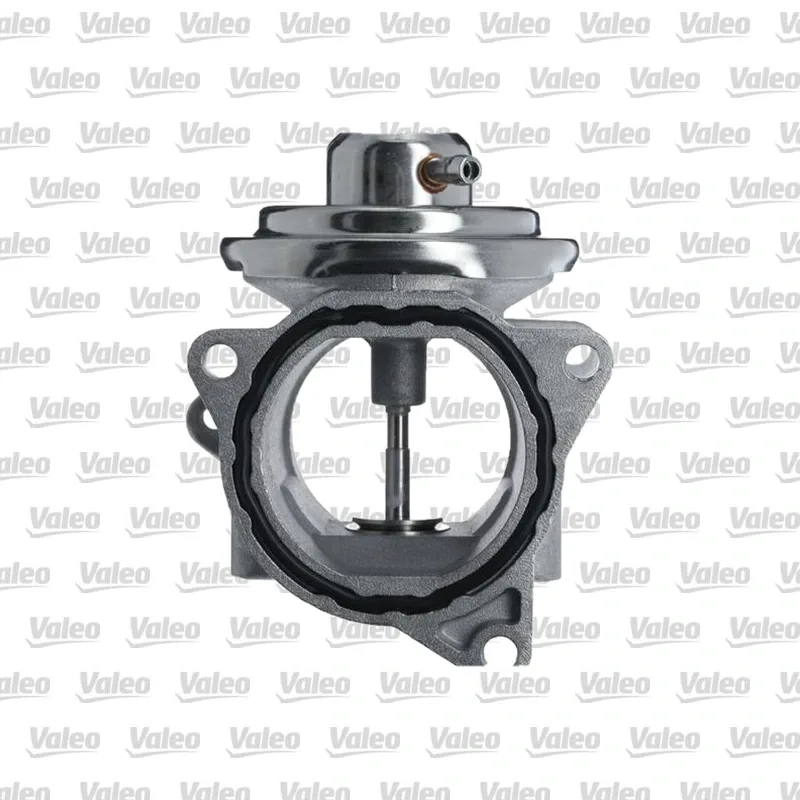 Egr Valfi VALEO 703200