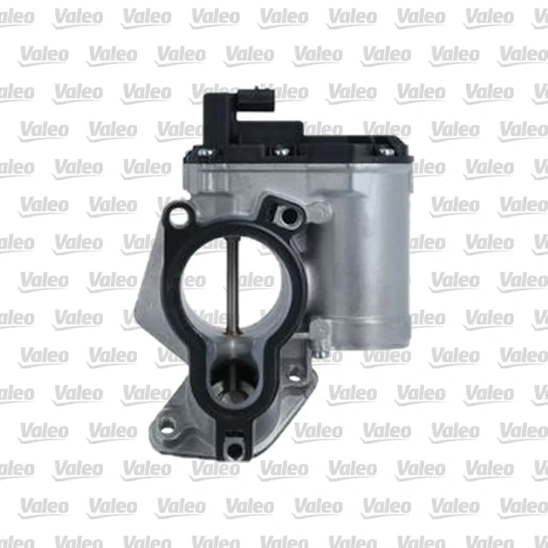 Egr Valfi VALEO 703214
