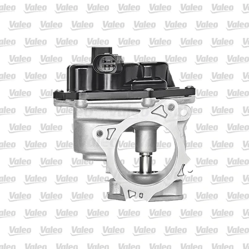 Egr Valfi VALEO 700448 – Volkswagen / Audi