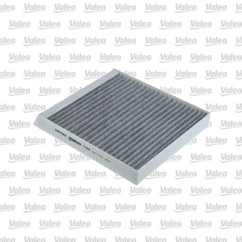 Polen Filtresi VALEO 715869 – Renault Scenic