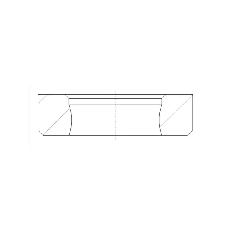Supap Yuvası MAHLE 227 SE 31336 000 – MAN TGA / TGS / TGX
