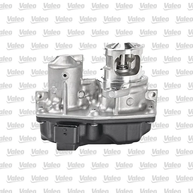 Egr Valfi VALEO 700449