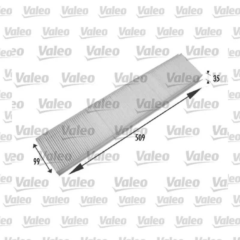 Polen Filtresi VALEO 698779 – Opel / Ford
