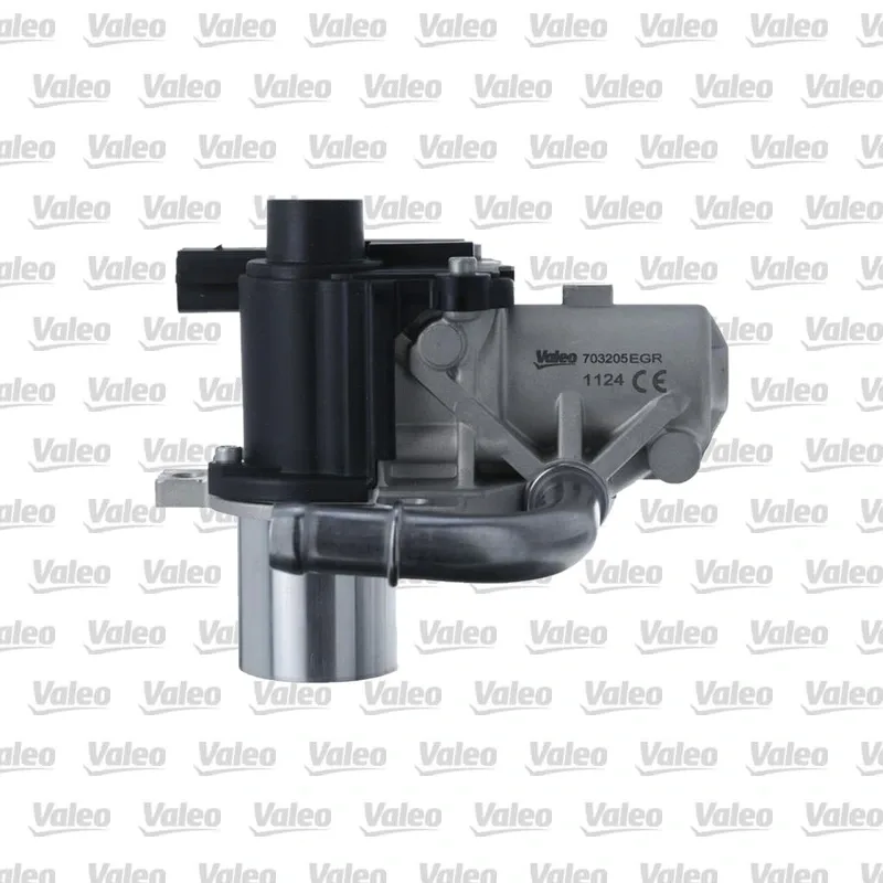 Egr Valfi VALEO 703205